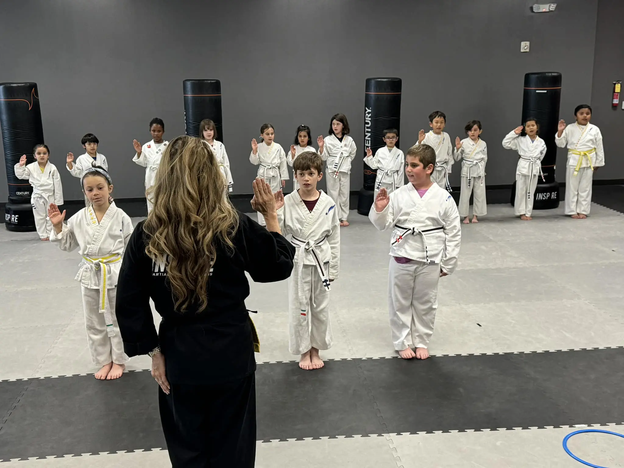 At our taekwondo school, kids learn martial arts and self-defense from experienced instructors while developing self-confidence, mental discipline, and valuable life skills through physical fitness, protective gear training, and techniques like the hook kick, all on the path to earning a black belt and enjoying both the physical and social benefits of self-discipline.