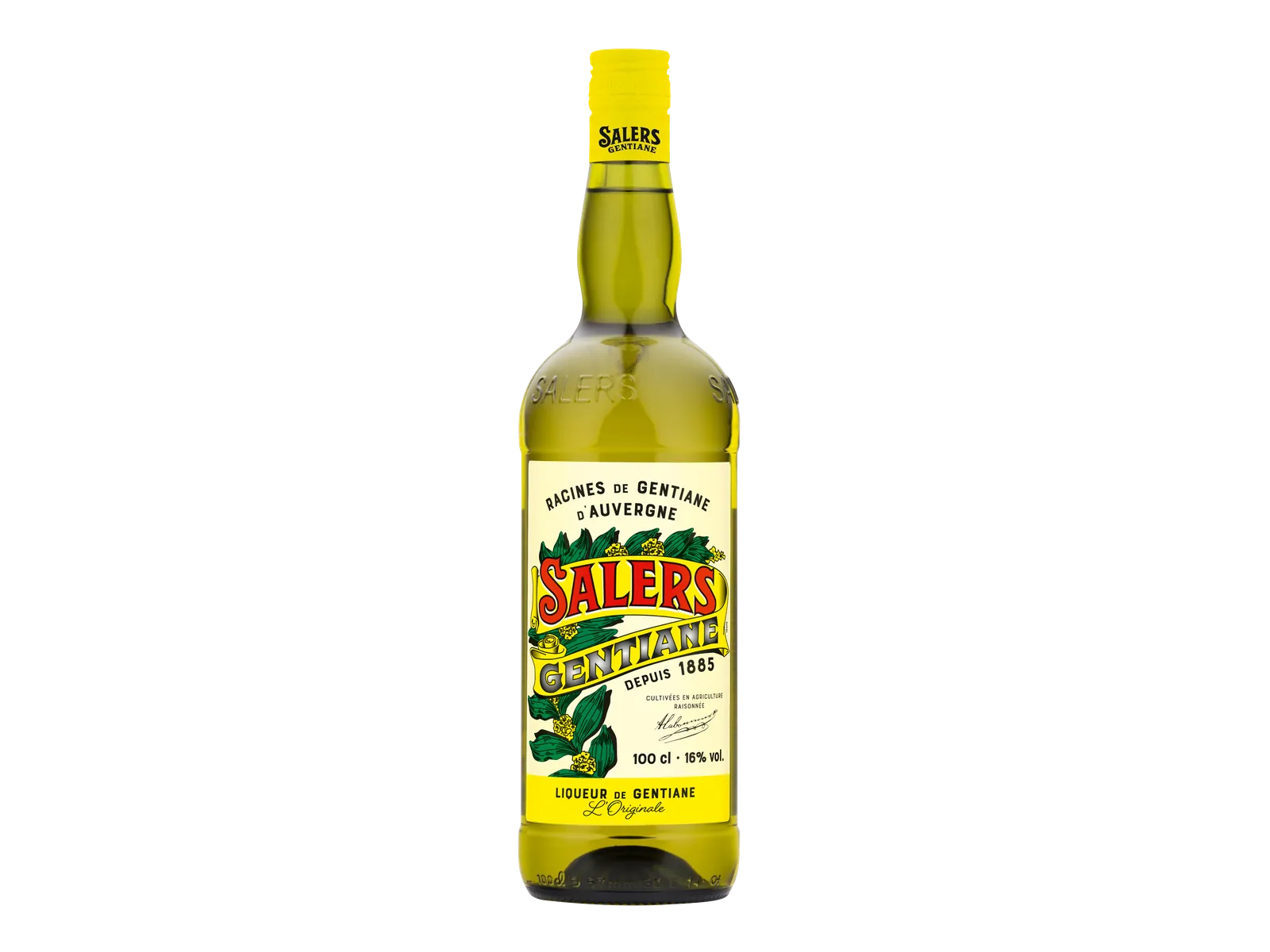 Salers gentiane