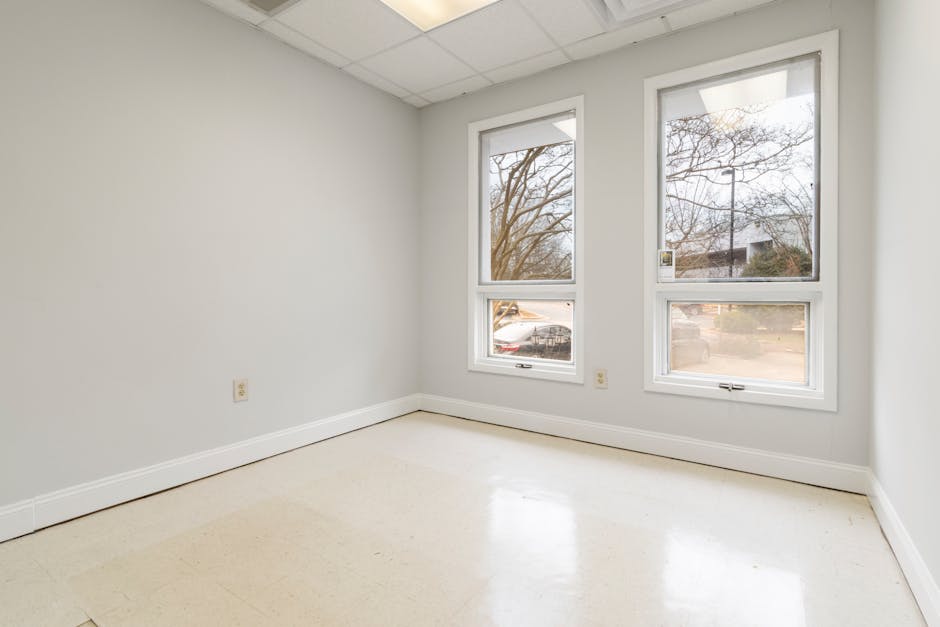 studios for rent