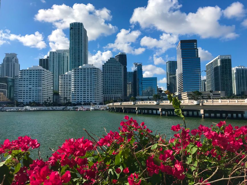 luxury apartments brickell