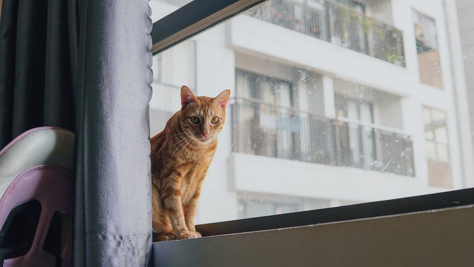 apartments with 3 pet limit