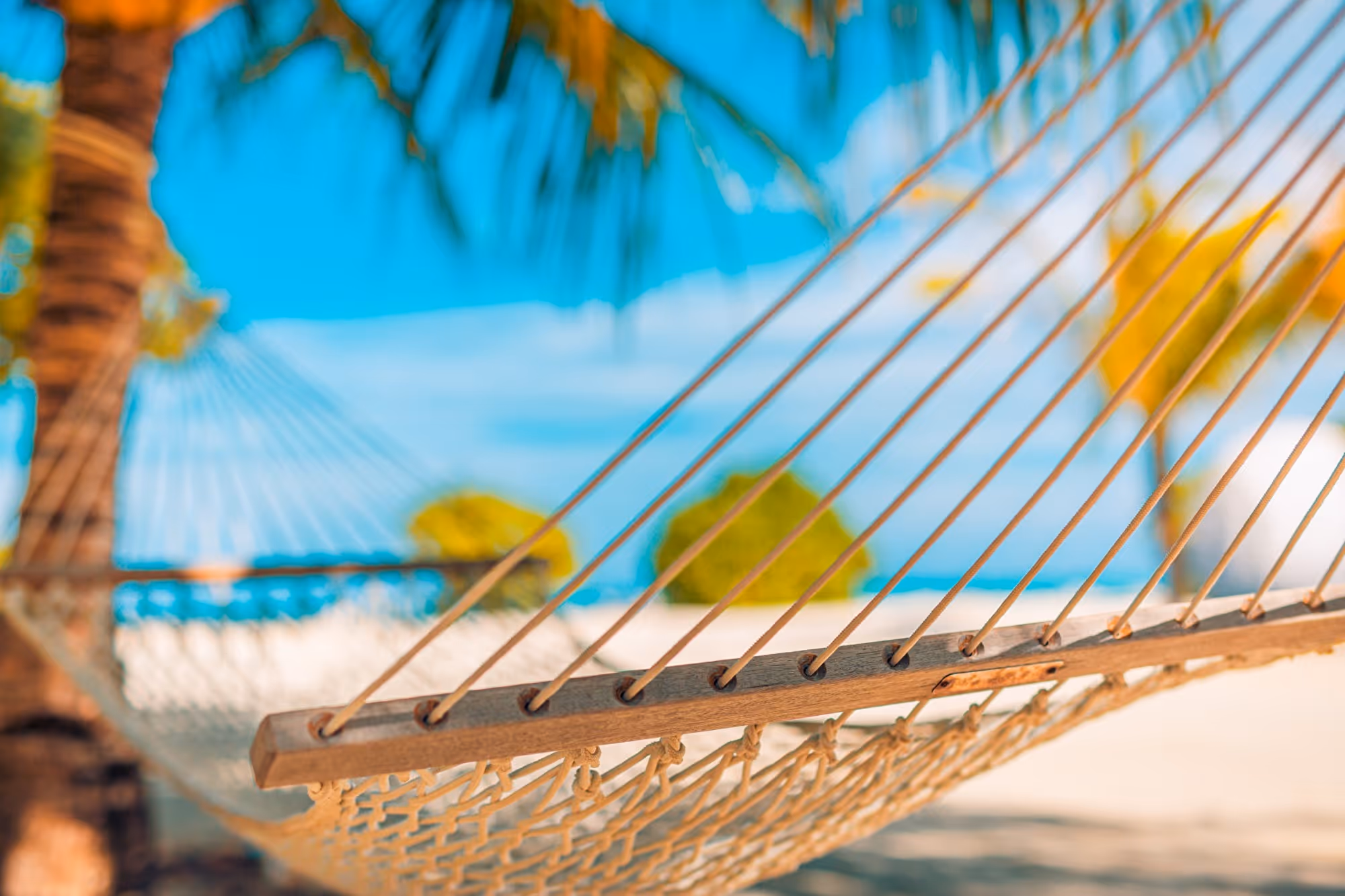 Hammock between palm trees on a sunny beach with turquoise sea and blue sky