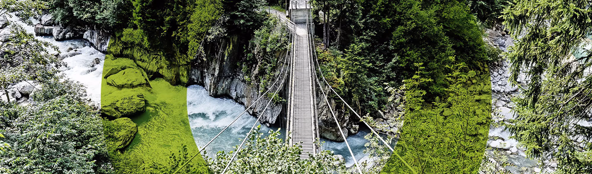 Hölzerne Hängebrücke führt über einen türkisen Gebirgsfluss durch grün bewachsene Felsschlucht.