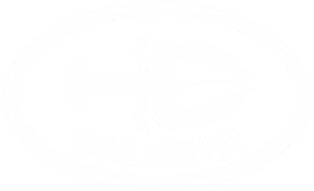 Logo von G. Bianchi AG