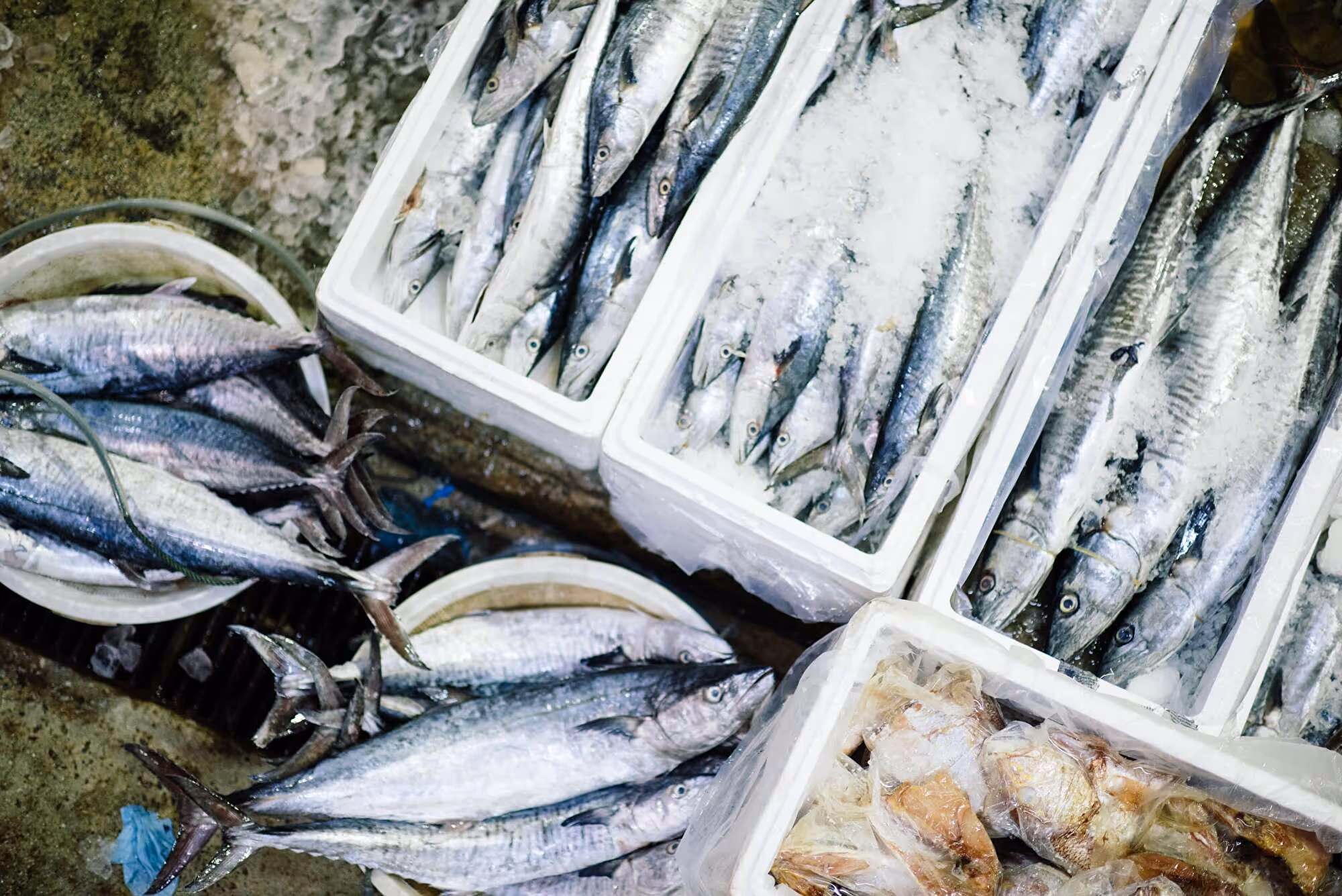 Frischer Fisch in Eis und Styroporkisten auf einem Markt, daneben Krabben