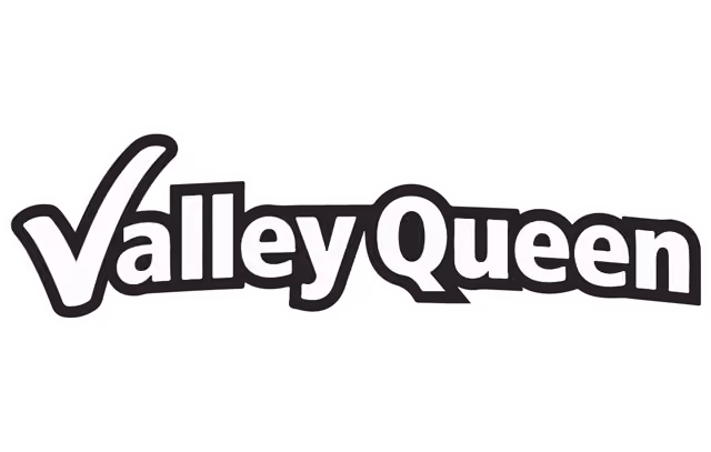 Extracellular logo with stylized multi-colored bars and dots to the left of the text.
