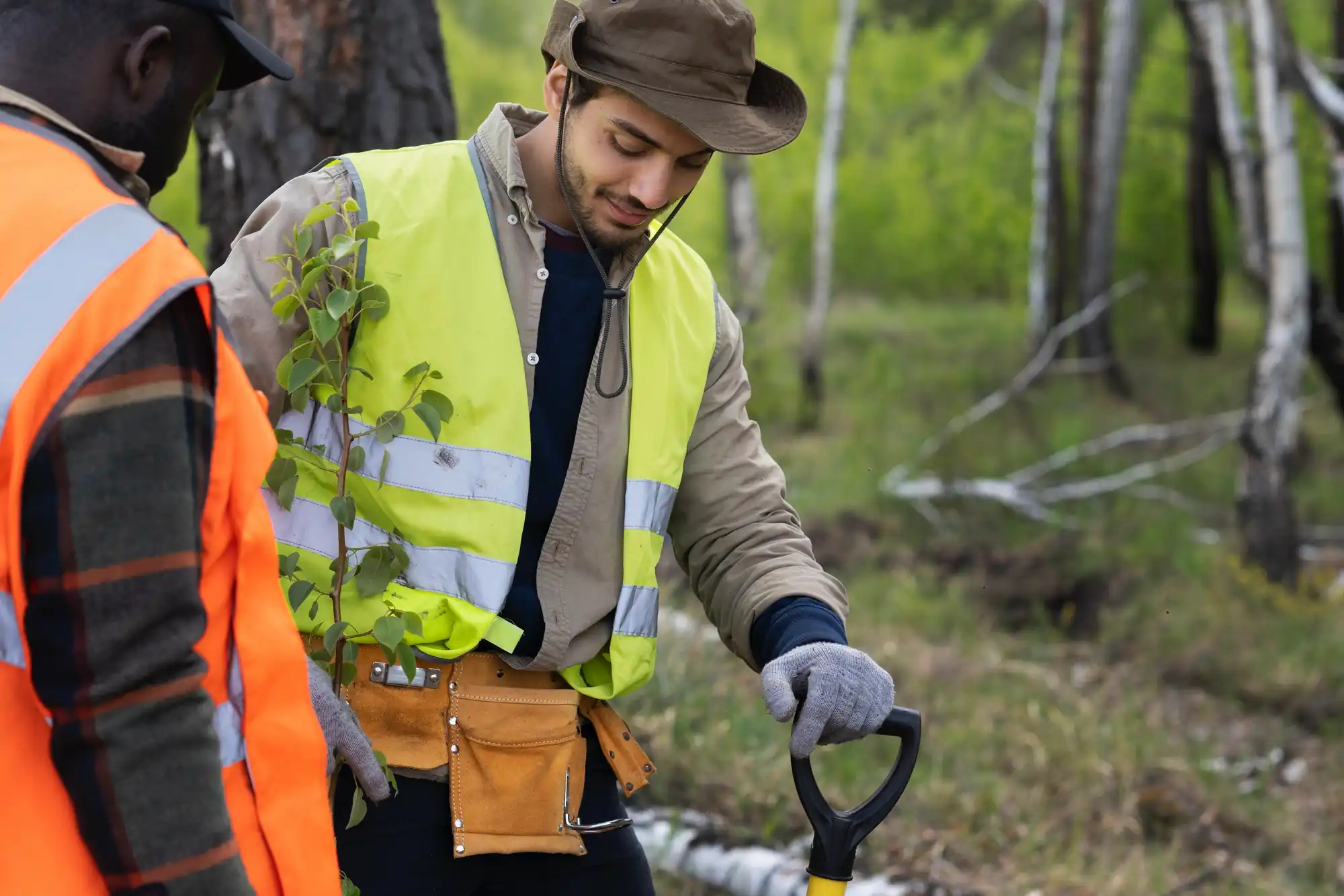 Two workers in high-visibility vests preparing to plant a tree in a forested area.