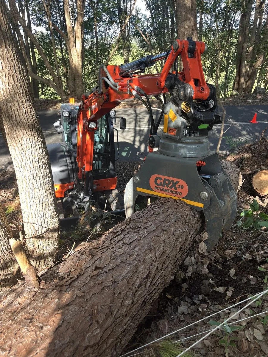 Forestry machine with orange grapple attachment holding a large cut tree trunk in a wooded area.