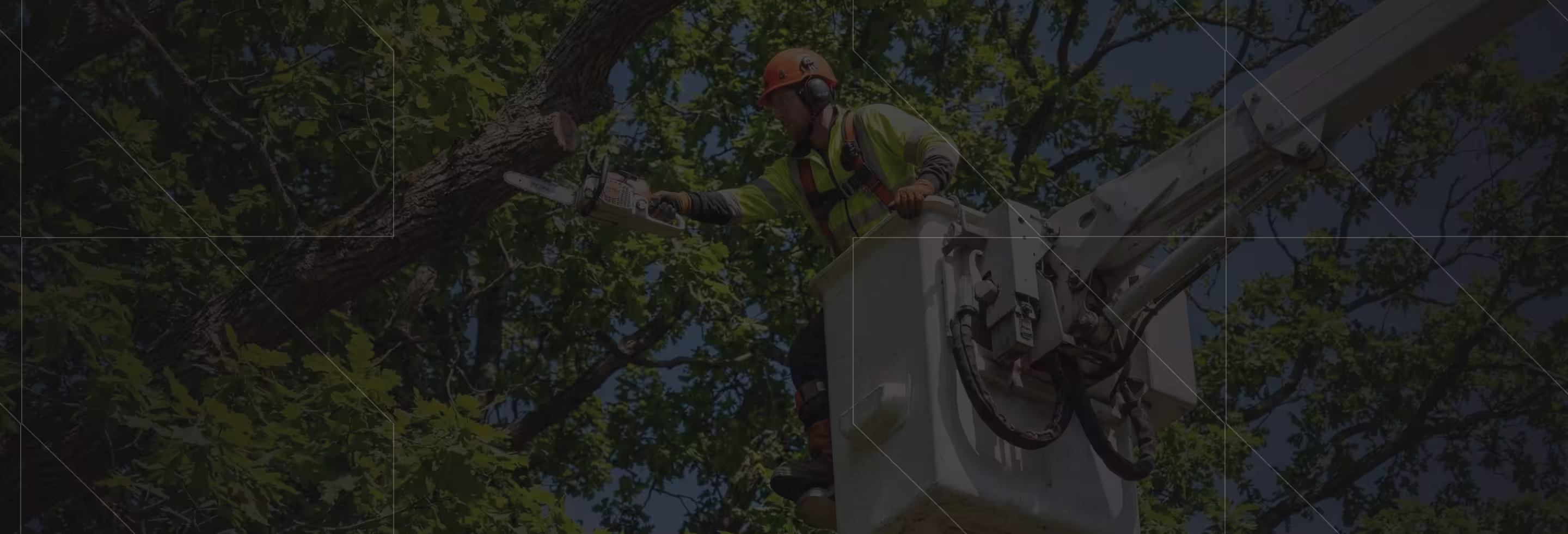 Worker in safety gear using chainsaw to trim tree branches from elevated bucket lift.