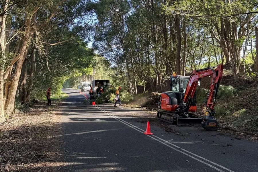 MidCoast Tree Solutions crew clearing roadside vegetation with an excavator, traffic cones set out on a tree-lined road.