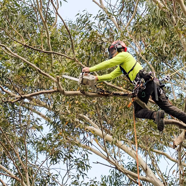 Utility worker in green helmet and orange safety gear elevated in a bucket truck working on power lines beside a rural dirt road with traffic cones and another worker on the ground.