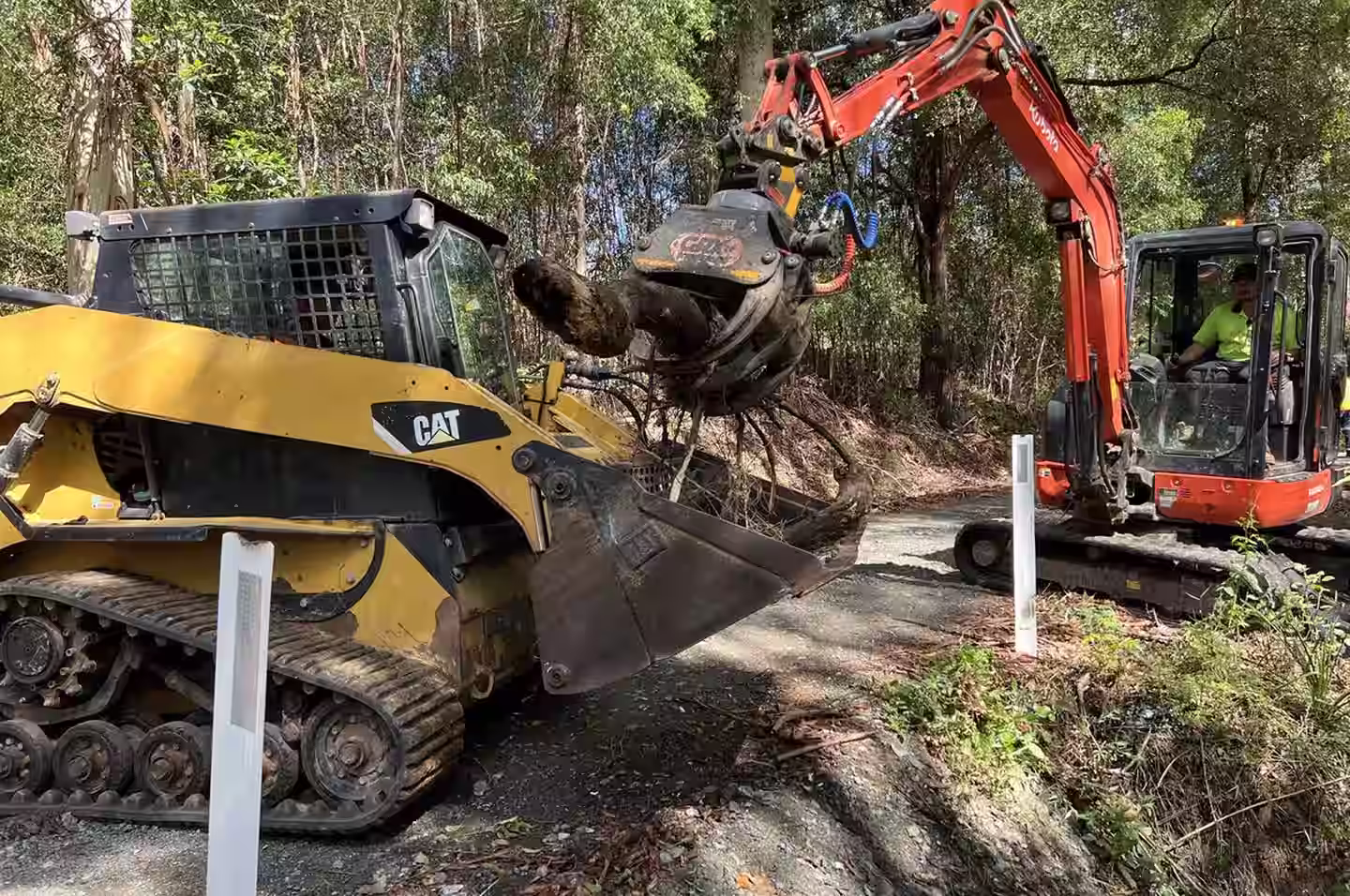 Large tree removal on a rural property near Bulahdelah — MidCoast Tree Solutions