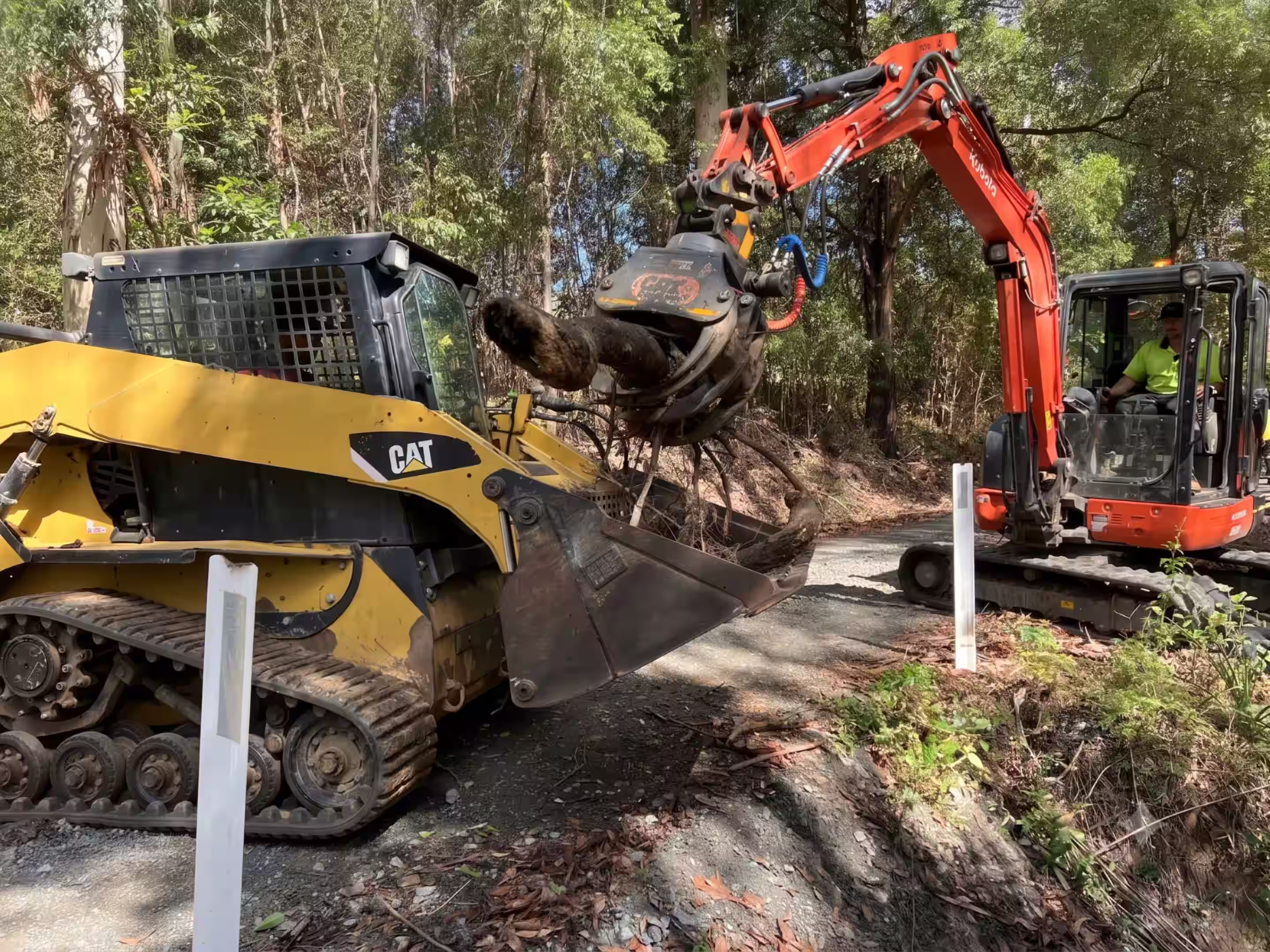 Large tree removal on a rural property near Bulahdelah — MidCoast Tree Solutions