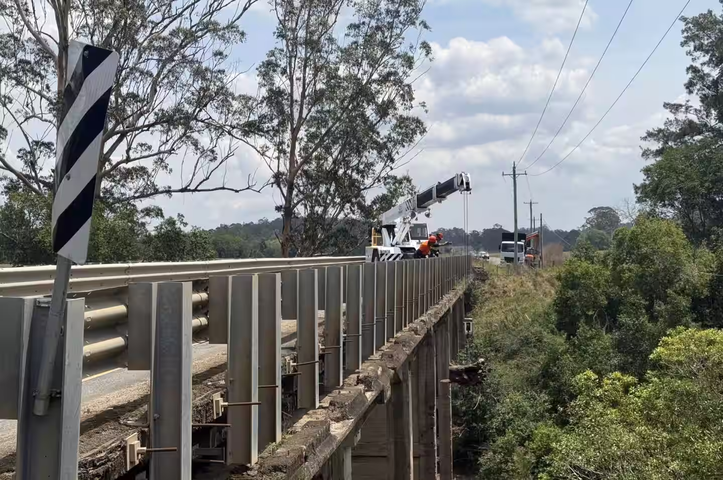 Storm-damaged Norfolk Pine being removed in Harrington — MidCoast Tree Solutions