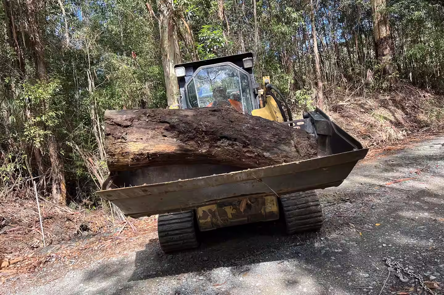 Land clearing on a steep rural property near Gloucester — MidCoast Tree Solutions