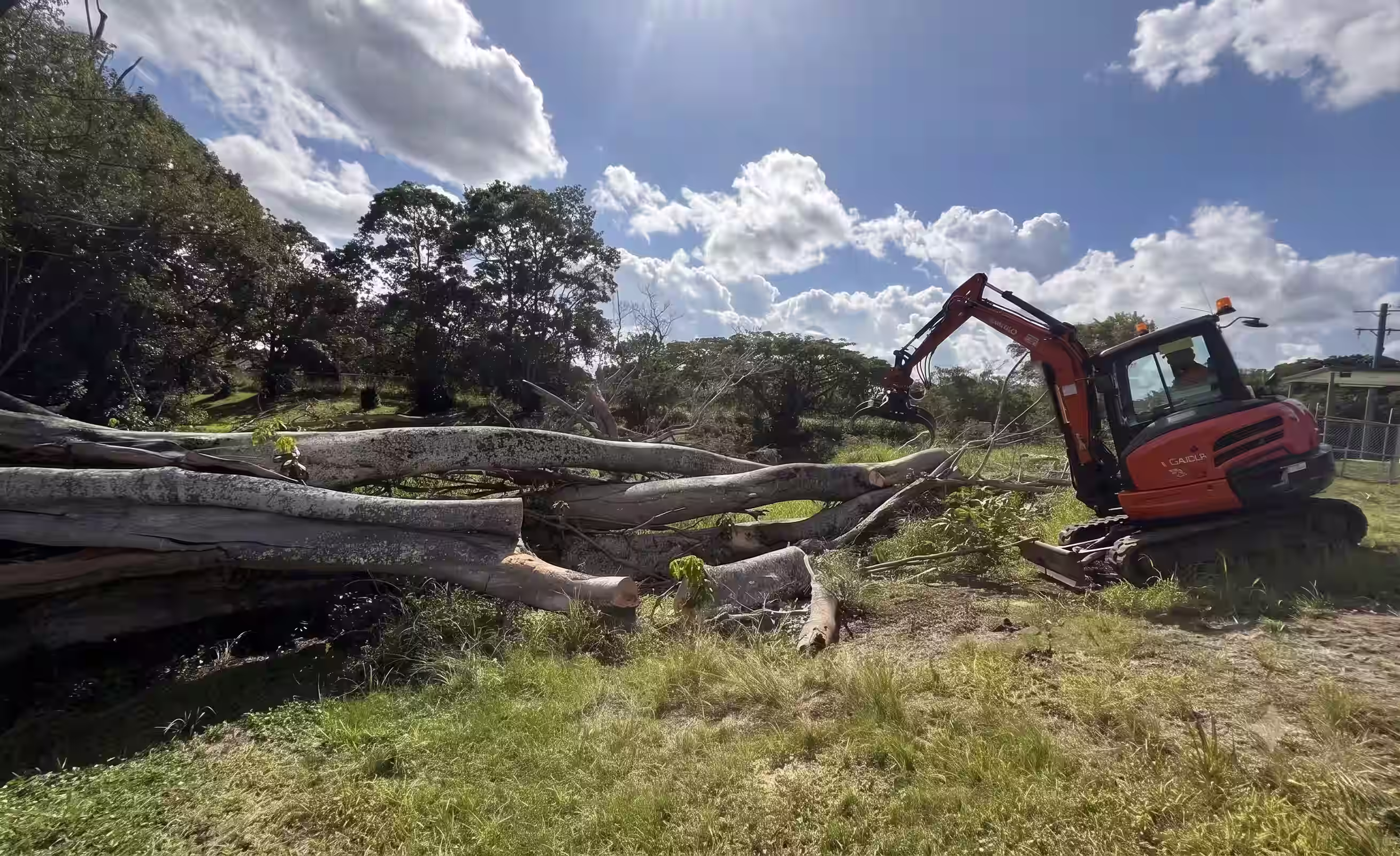 Arborist removing a large tree in suburban Taree — MidCoast Tree Solutions