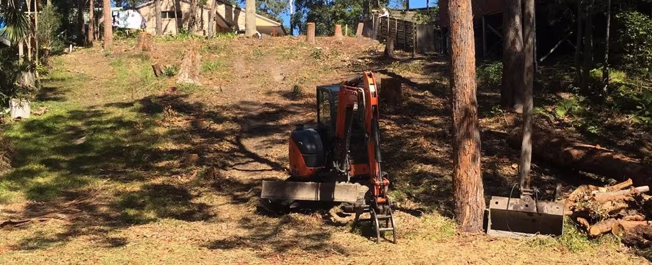 Spotted Gum forest surrounding new homes at Diamond Beach NSW