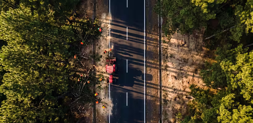 Aerial view of workers clearing trees along a road surrounded by dense forest on both sides.
