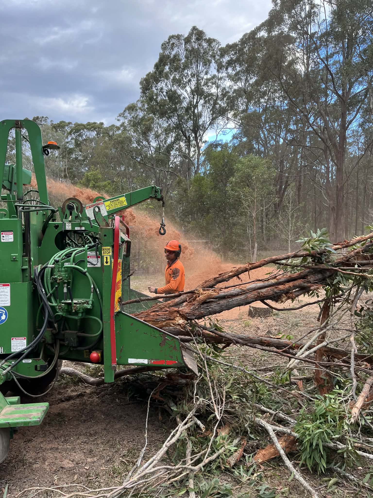 Worker in orange safety gear operating green wood chipper shredding tree branches outdoors.