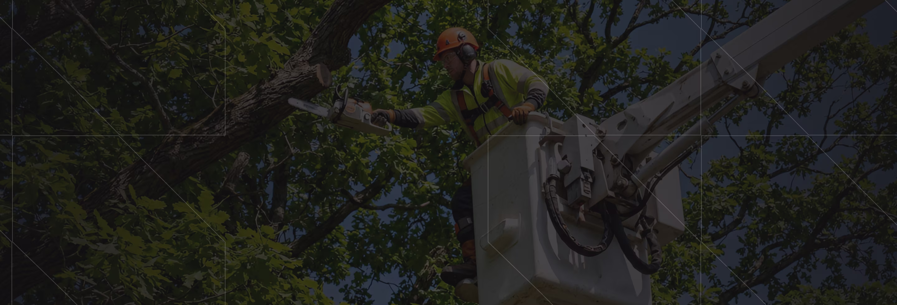 Worker in safety gear cutting a tree branch using a chainsaw from an elevated bucket lift among green trees.