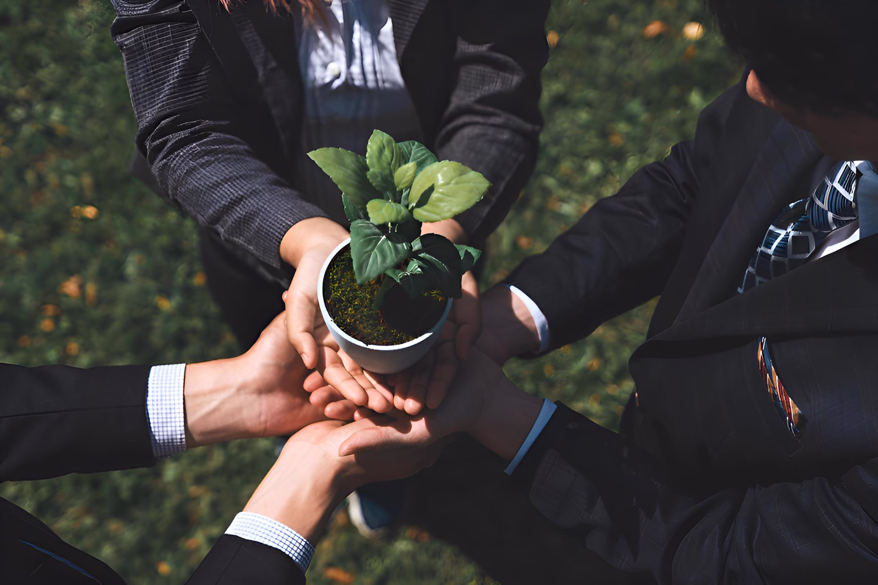 Three people in business attire holding a small potted plant together outdoors.