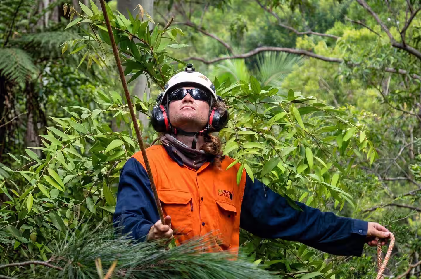 Tree crew removing overhanging branches near the Myall River in Tea Gardens — MidCoast Tree Solutions