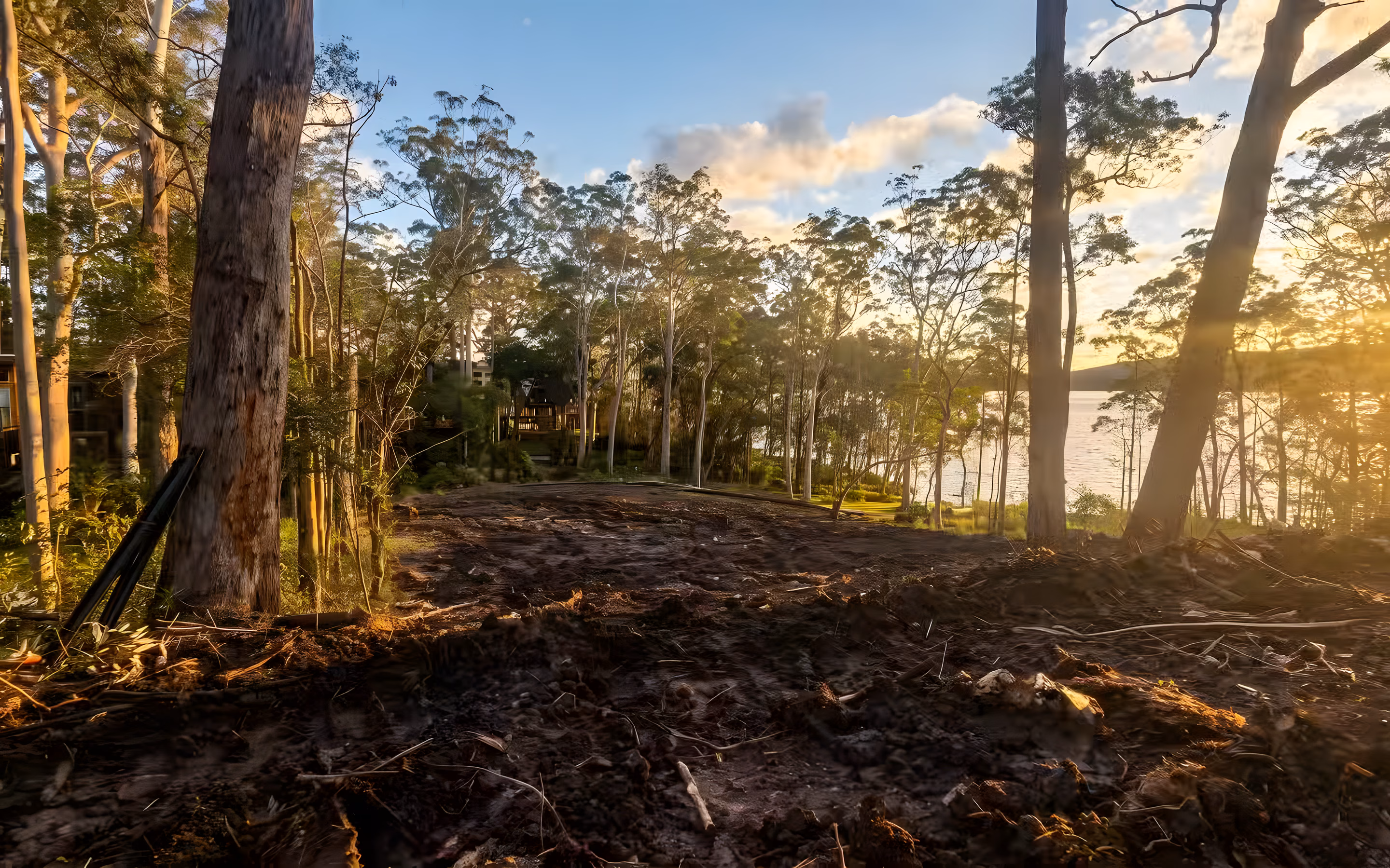 Tall gums and a cleared block with lake views at sunset on the Mid North Coast