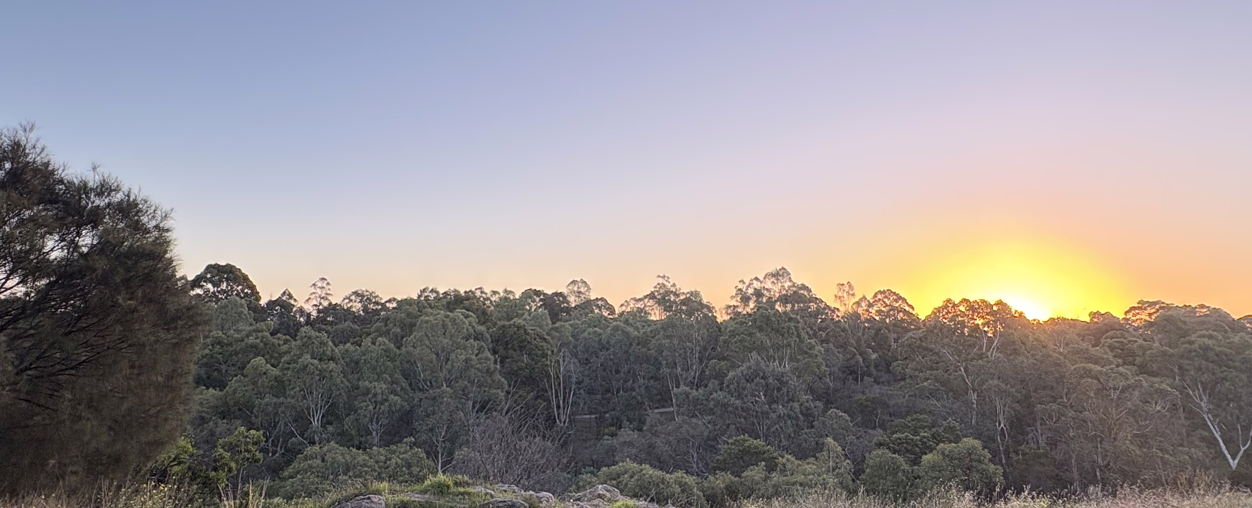 Evening sky over coastal bushland on the Mid North Coast