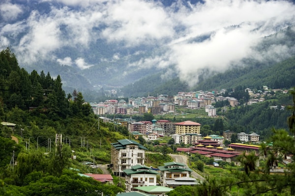 white and brown concrete houses near green trees under white clouds during daytime