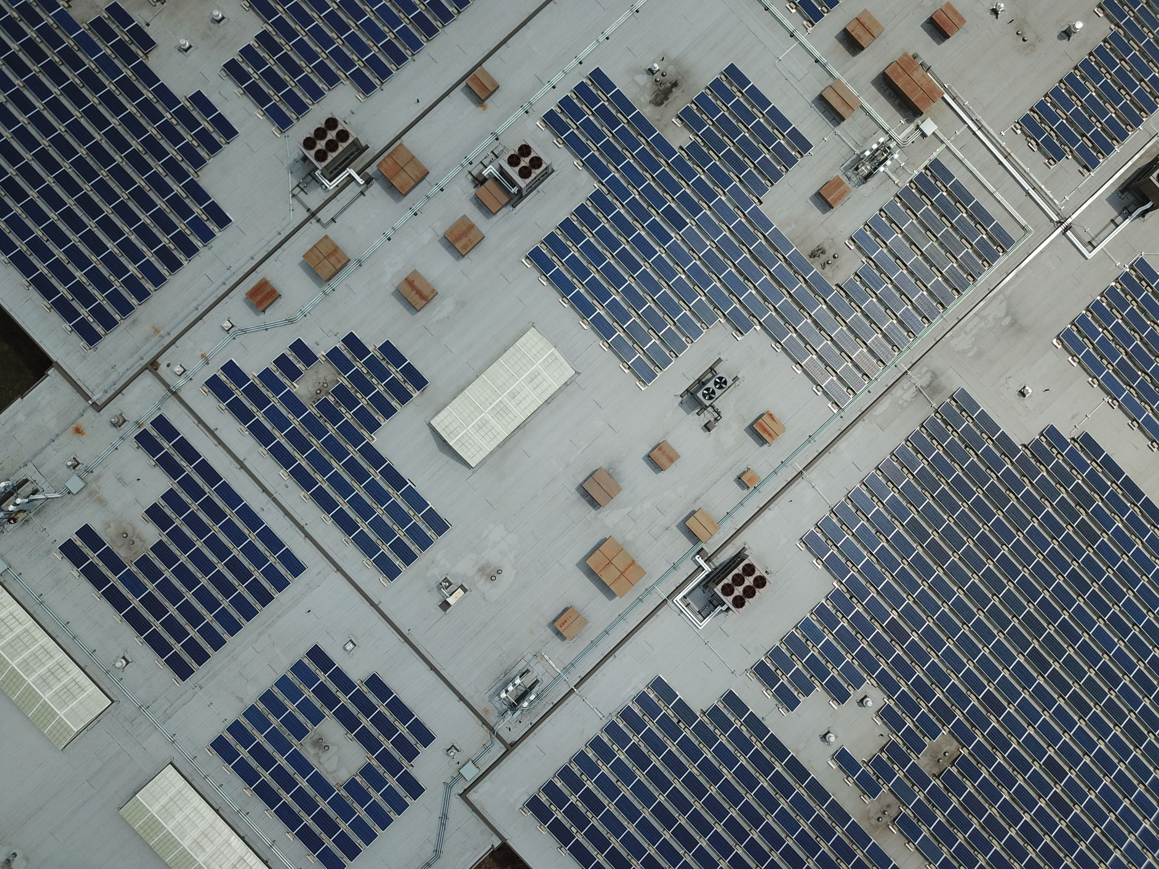 Aerial view of a building rooftop covered with multiple blue solar panels arranged in blocks.