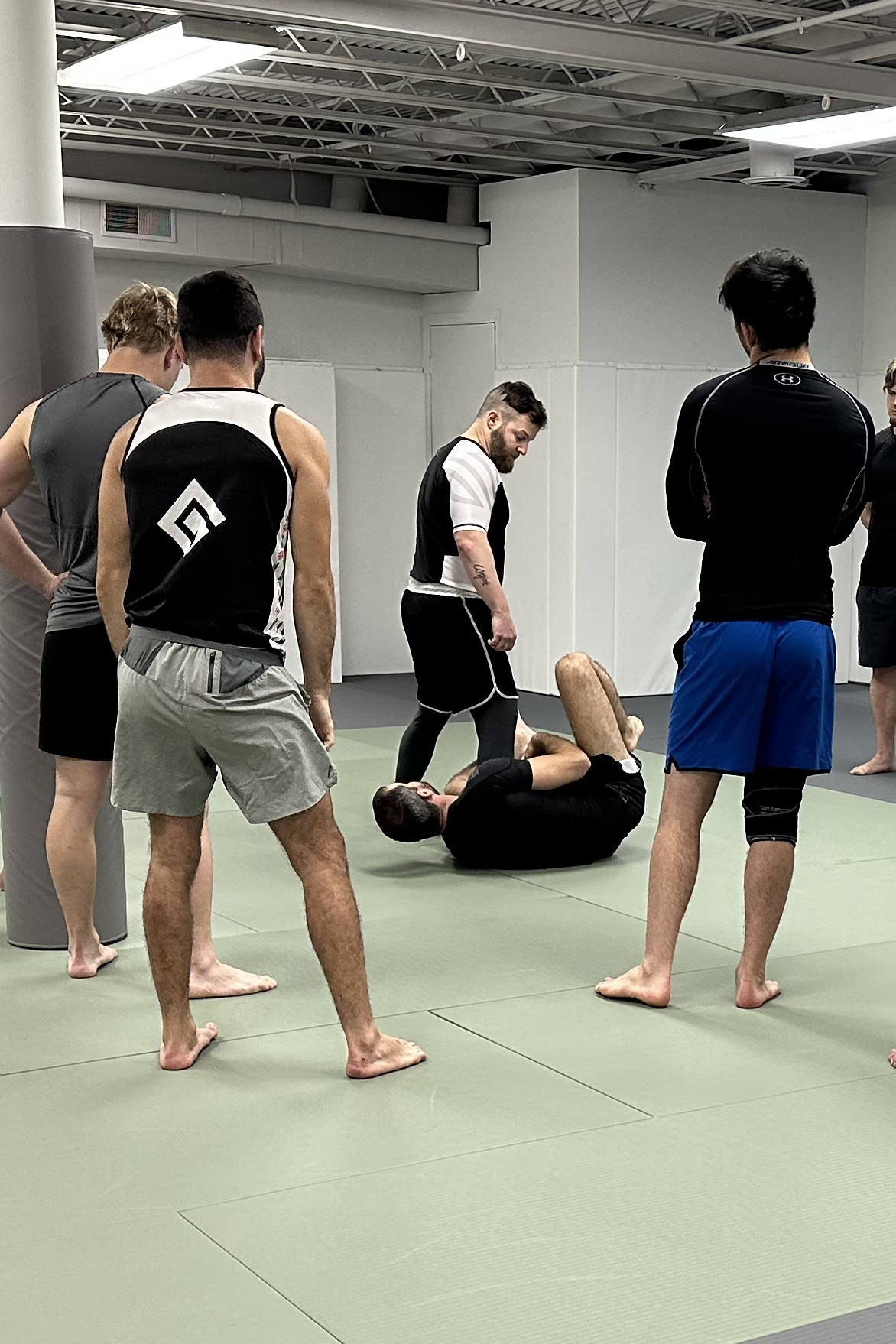 Adults Jiu Jitsu