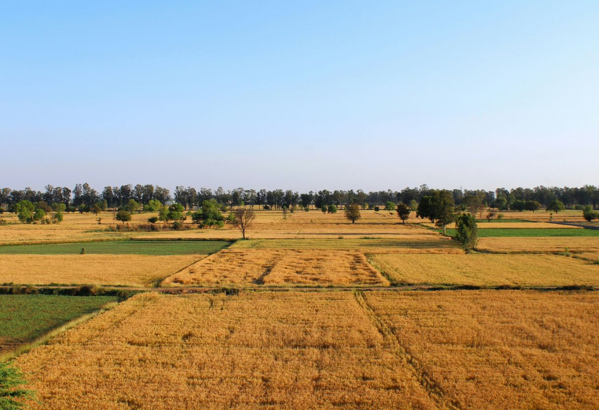 image of legal documents being signed