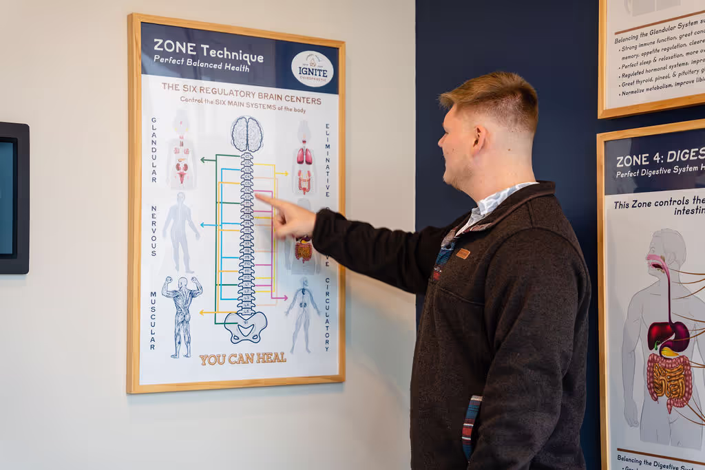 Chiropractor teaching patient about Zone Technique and six nervous system zones
