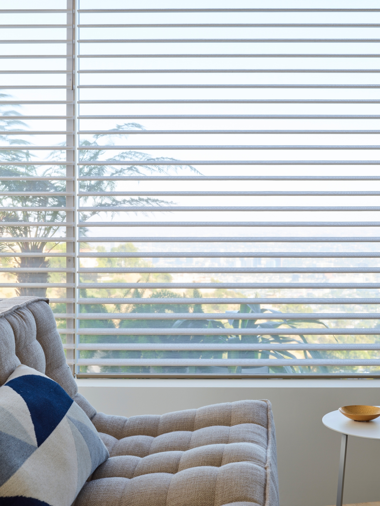 Duette Honeycomb Shades