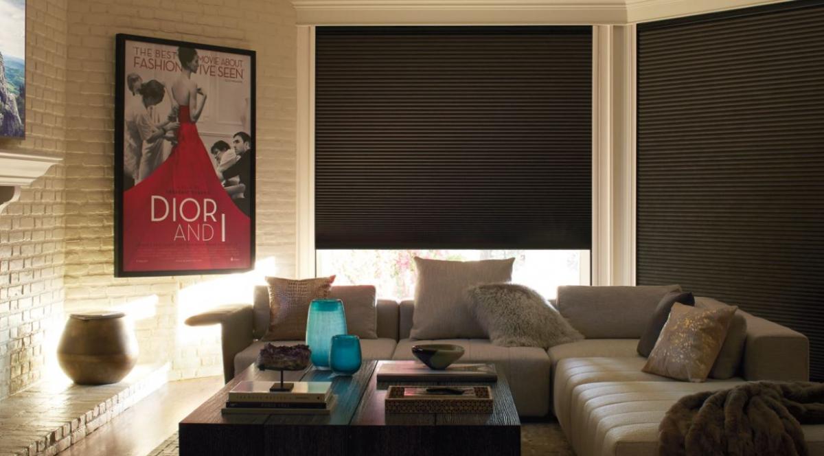 Modern living room featuring dark, cellular Truckee CA, window shades lowered over large windows