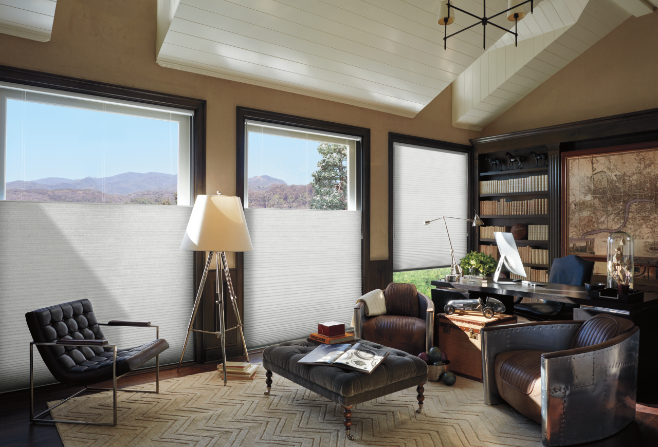 Duette Honeycomb Shades