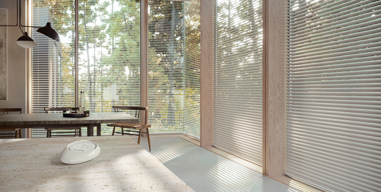 Duette Honeycomb Shades