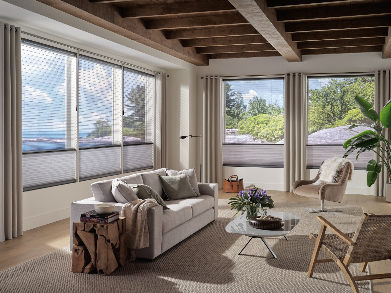 Duette Honeycomb Shades