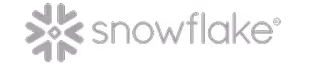 Snowflake company logo with a stylized snowflake symbol before the text.