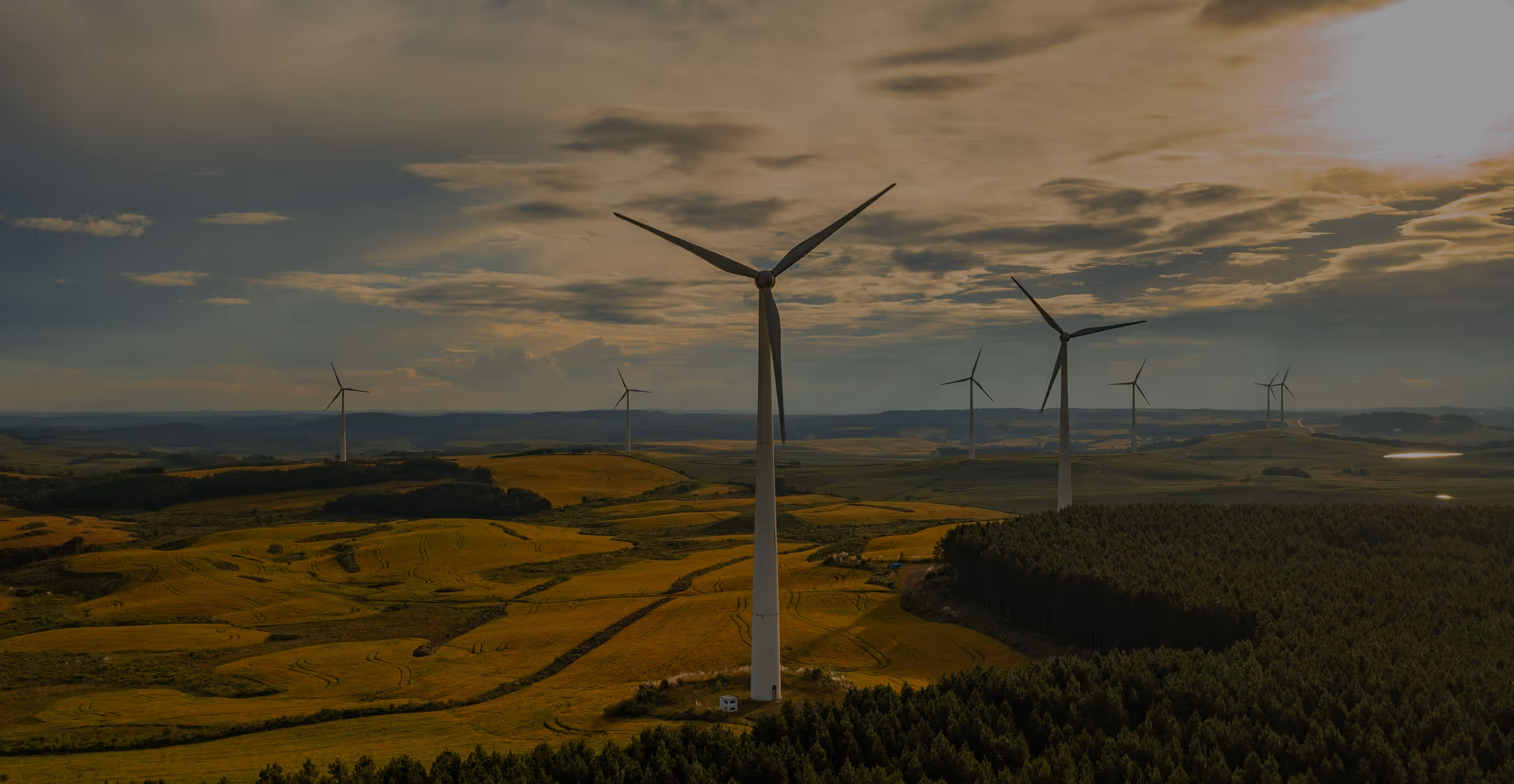 Wind turbines scattered across rolling green and yellow fields under a cloudy sky during sunset.
