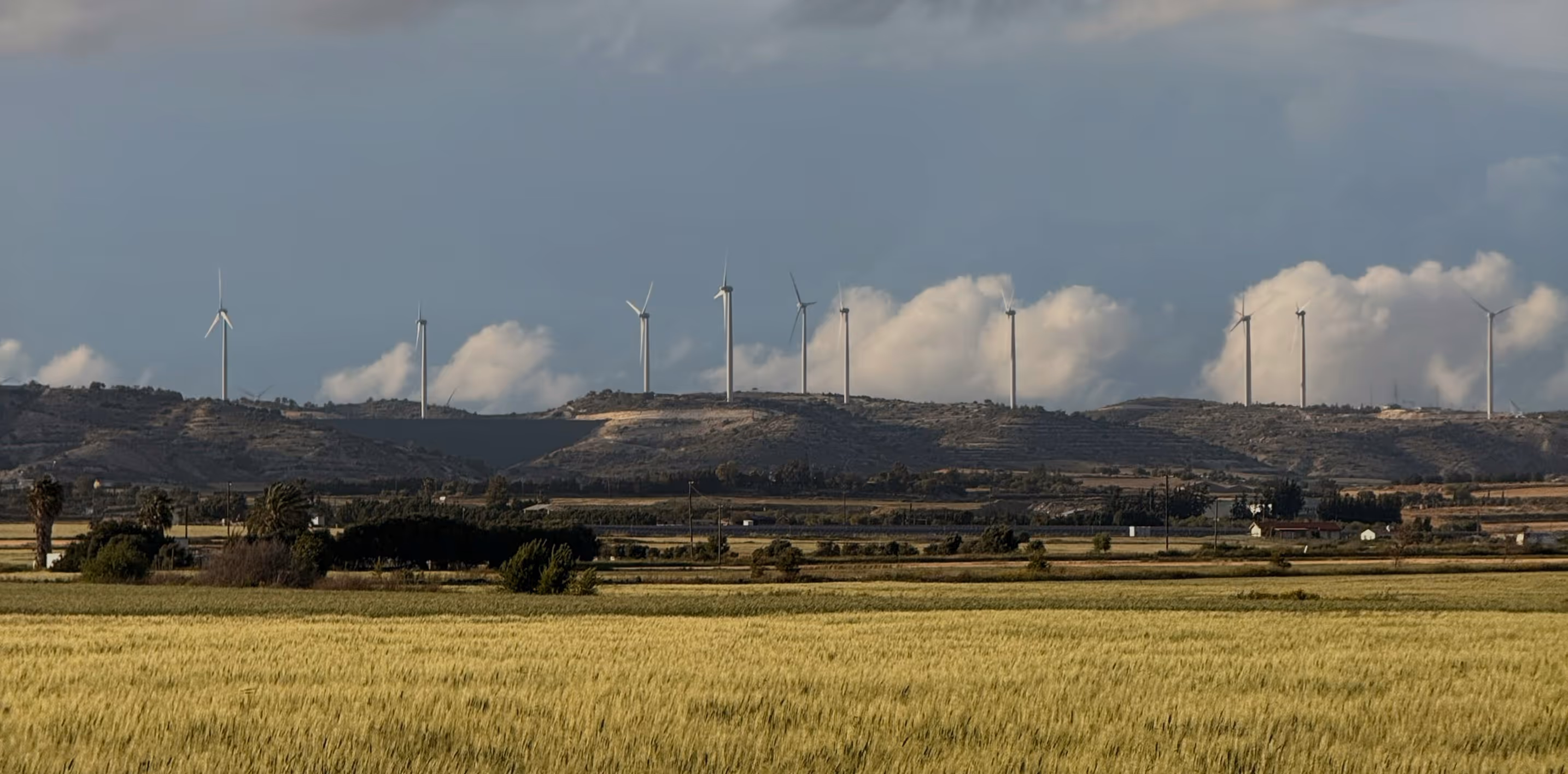 A field of grain with a row of wind turbines on distant hills under a cloudy sky.