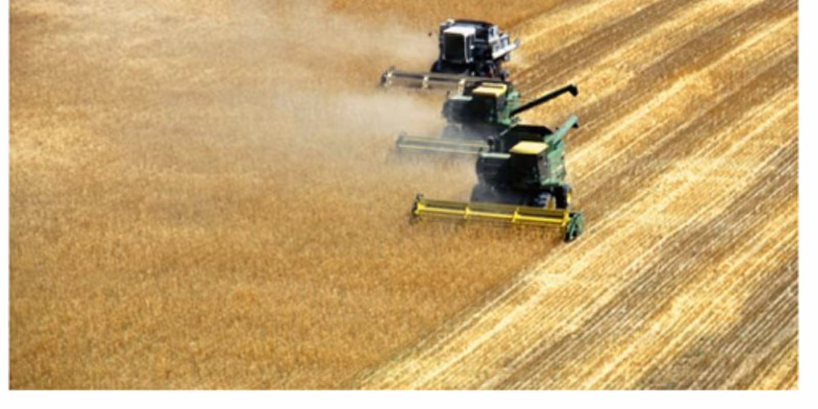 Cultivating Tomorrow: How AI Transforms Crop Yield Prediction