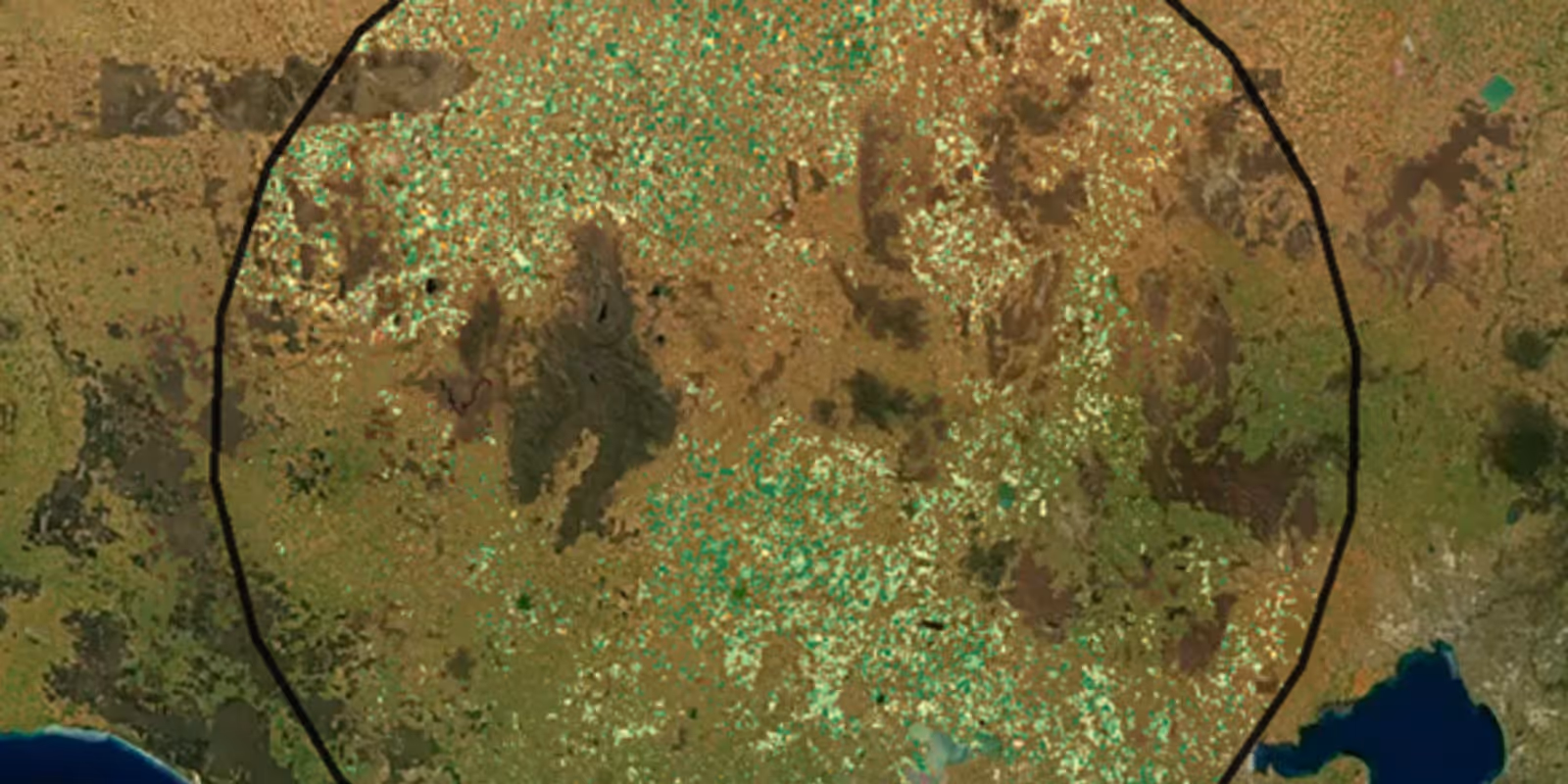 From Plant Biomass to Biofuel: Powering Sustainable Transportation with High Accuracy Yield Prediction