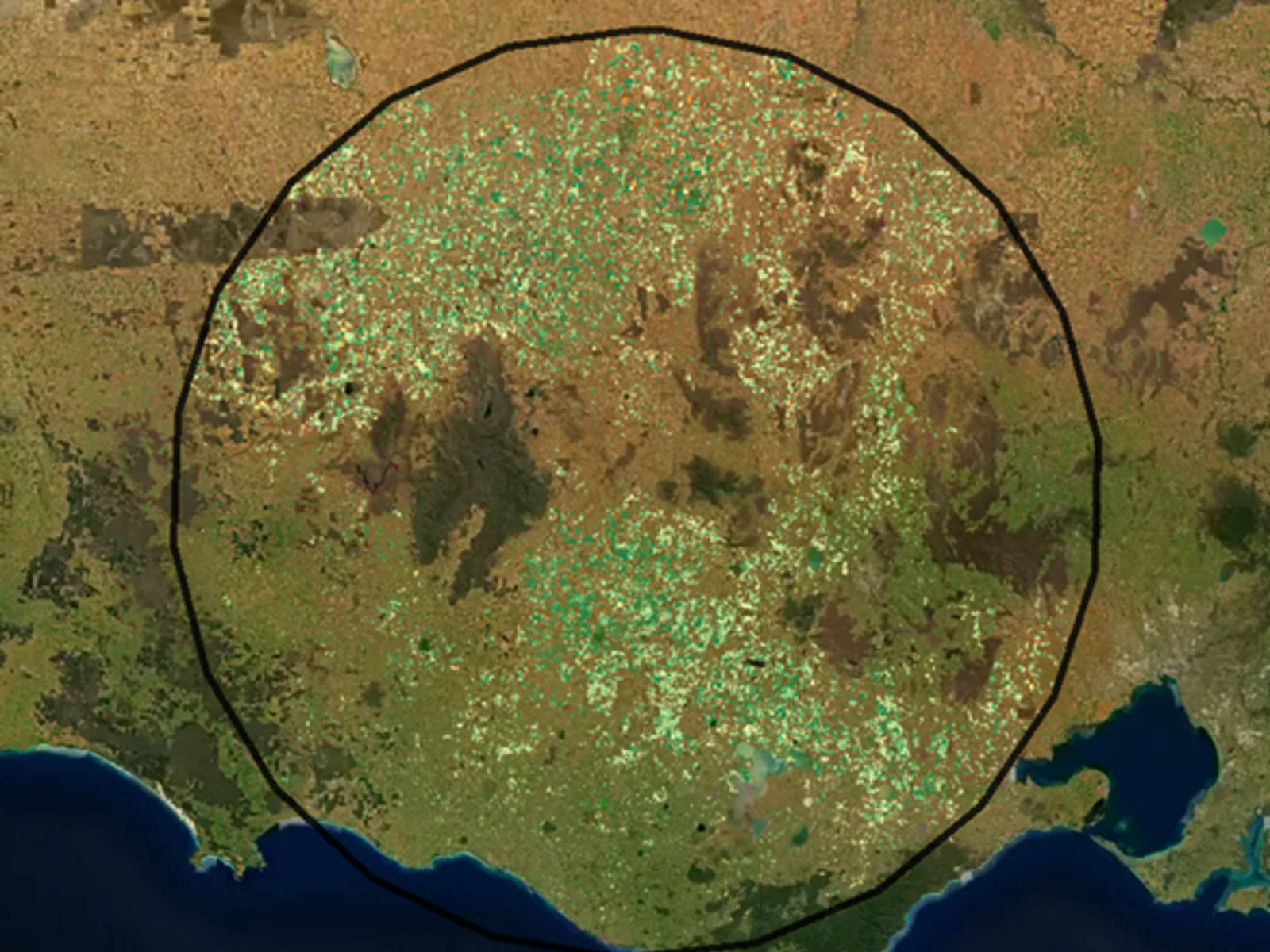 SatYIeld Crop Mapping, Wheat 2022
