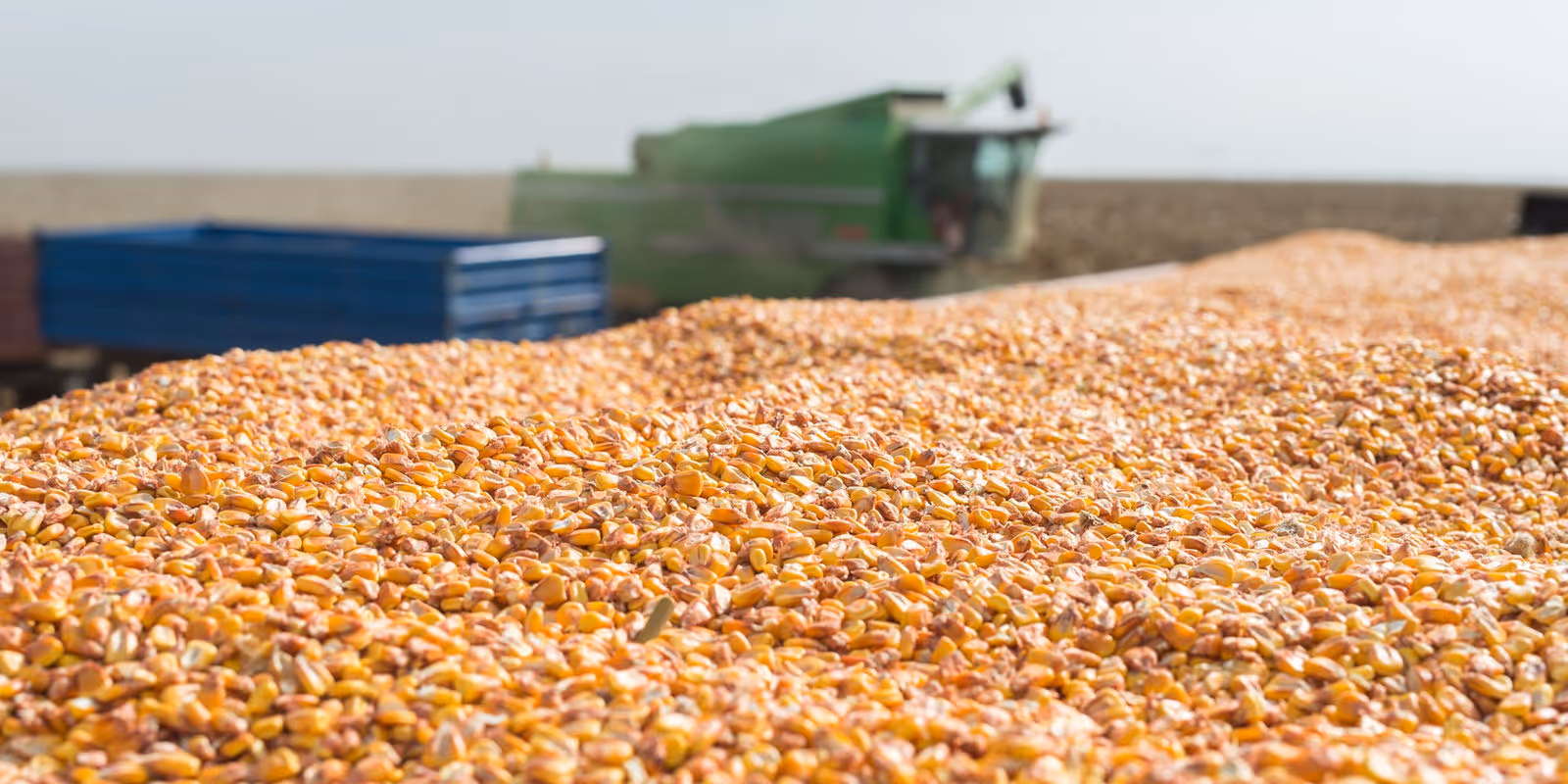 New Paradigm for Commodity Trading: Democratizing Yield Data for Everyone