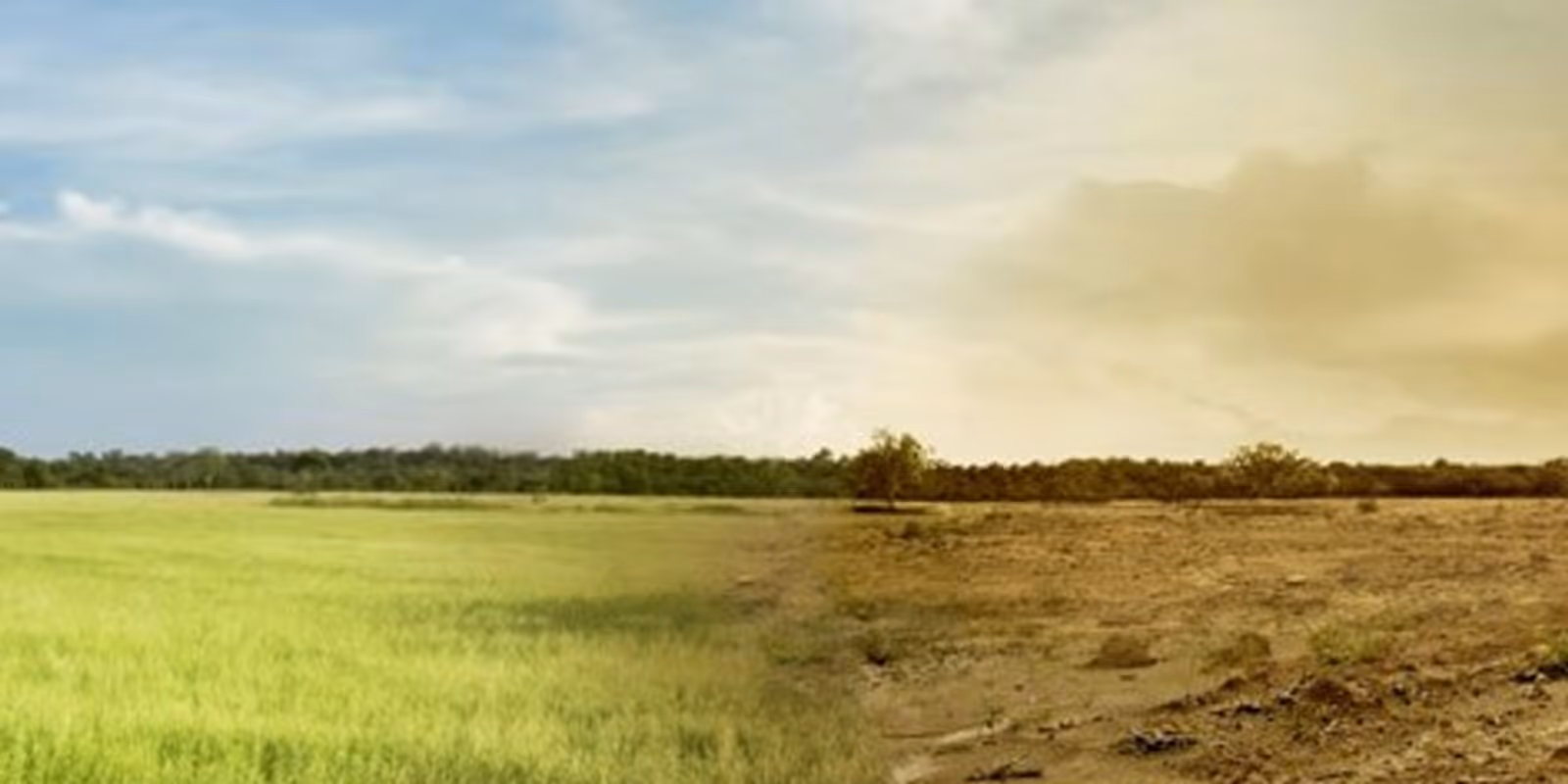 Zero Hunger: A Global Challenge Amidst Climate Crisis