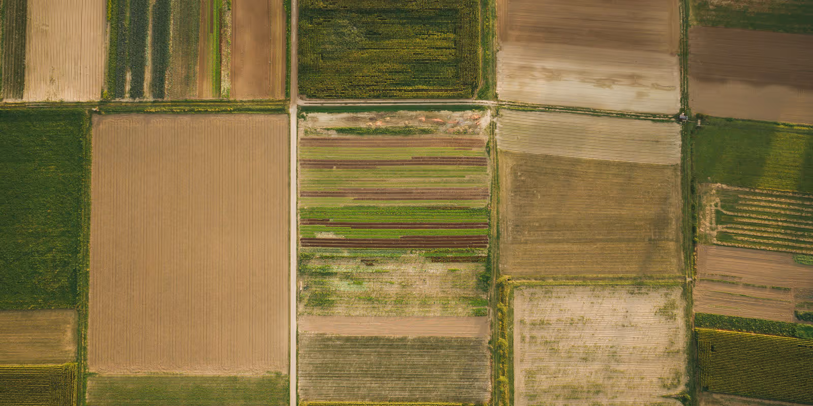 Cracking the Earth’s Code: SatYield’s Revolution in Crop Yield Estimation