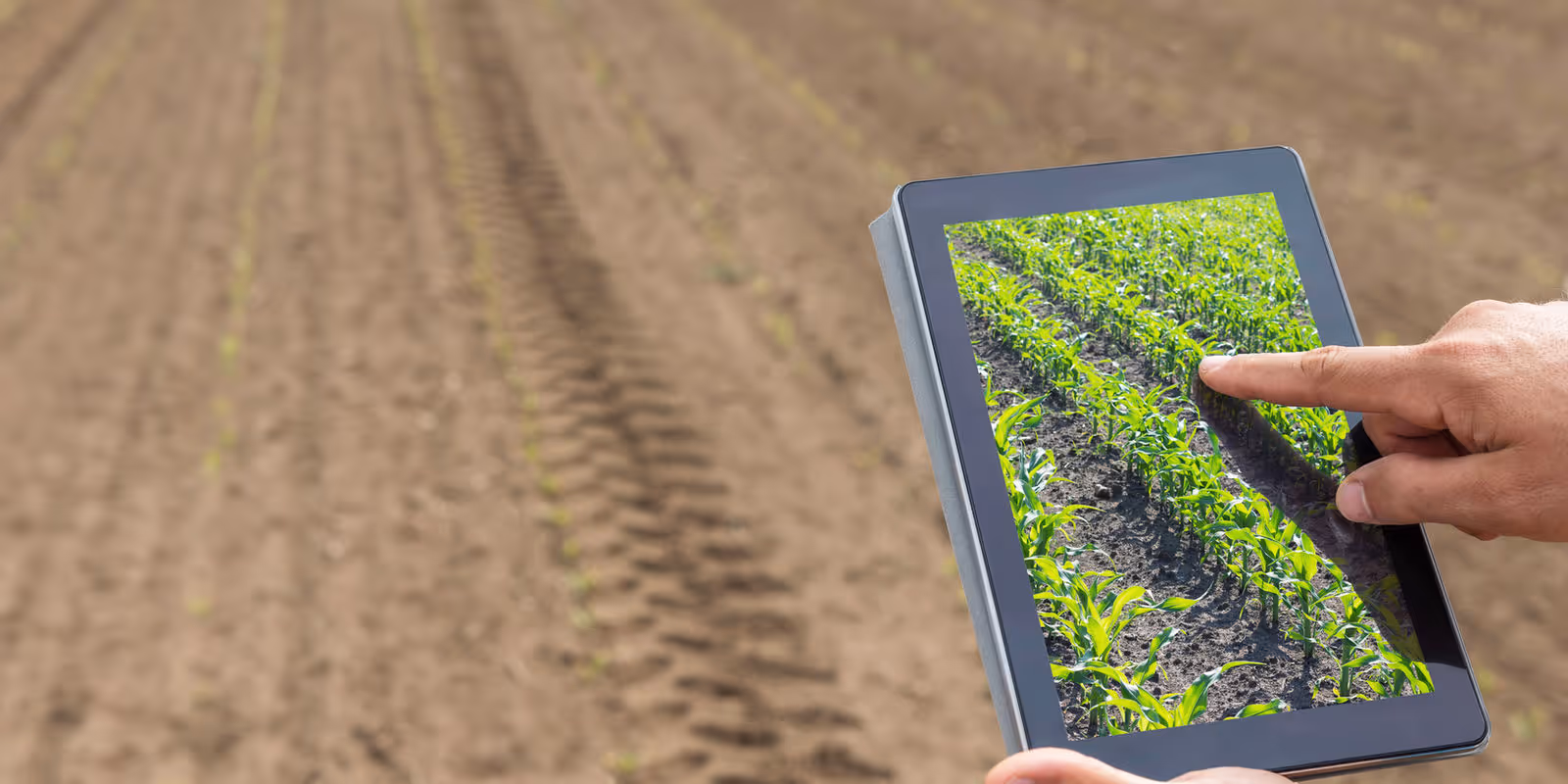 Simulating Real-World Environments with AI: The Future of Agriculture