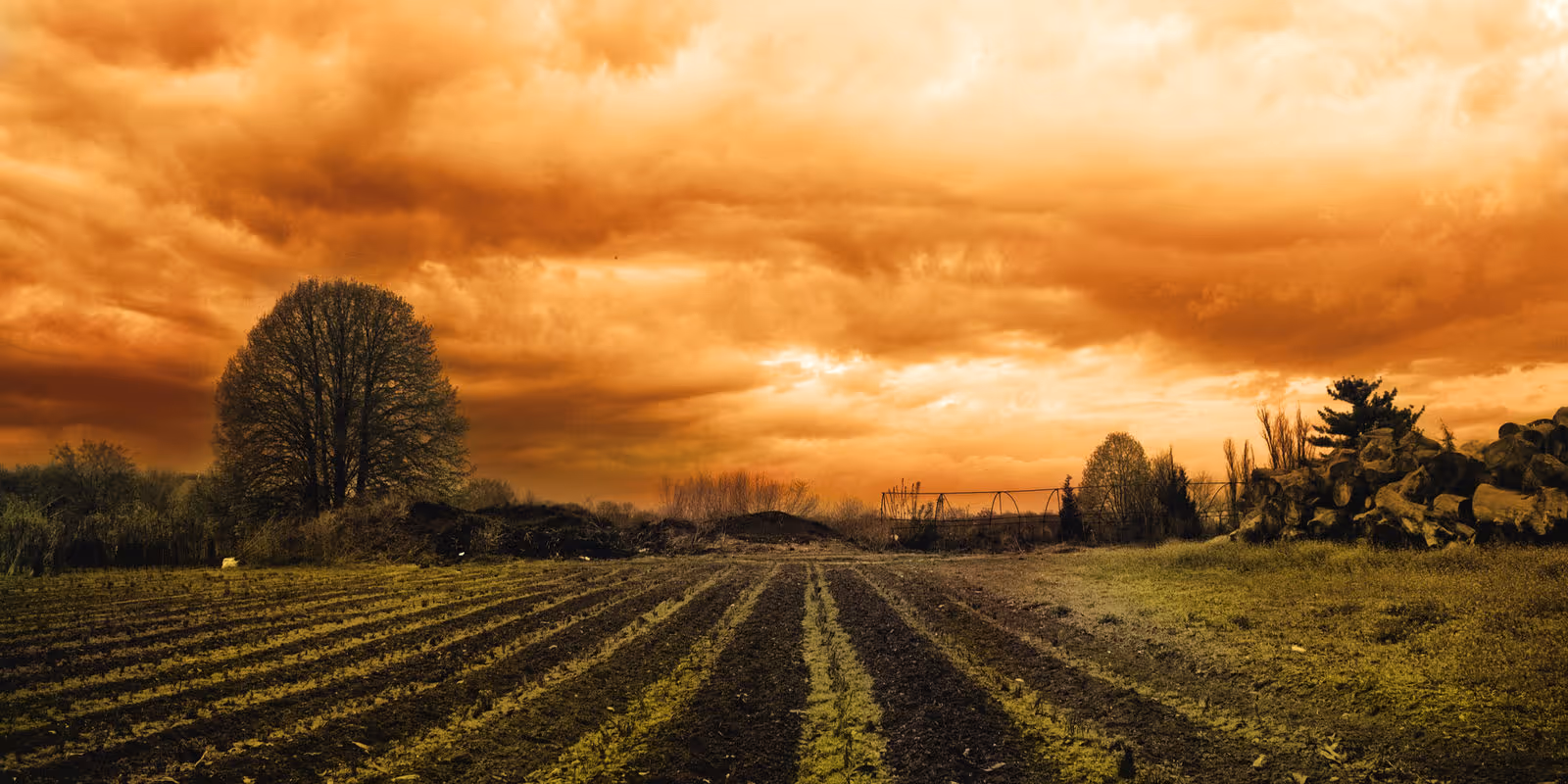 Post–Fourth of July Weather Wildcards: What Could Still Go Wrong for Corn and Soybean?