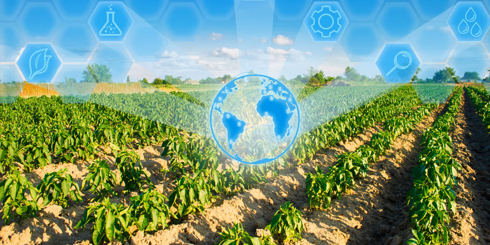 The Data Dilemma: Why Traditional Agriculture Reports Aren’t Enough